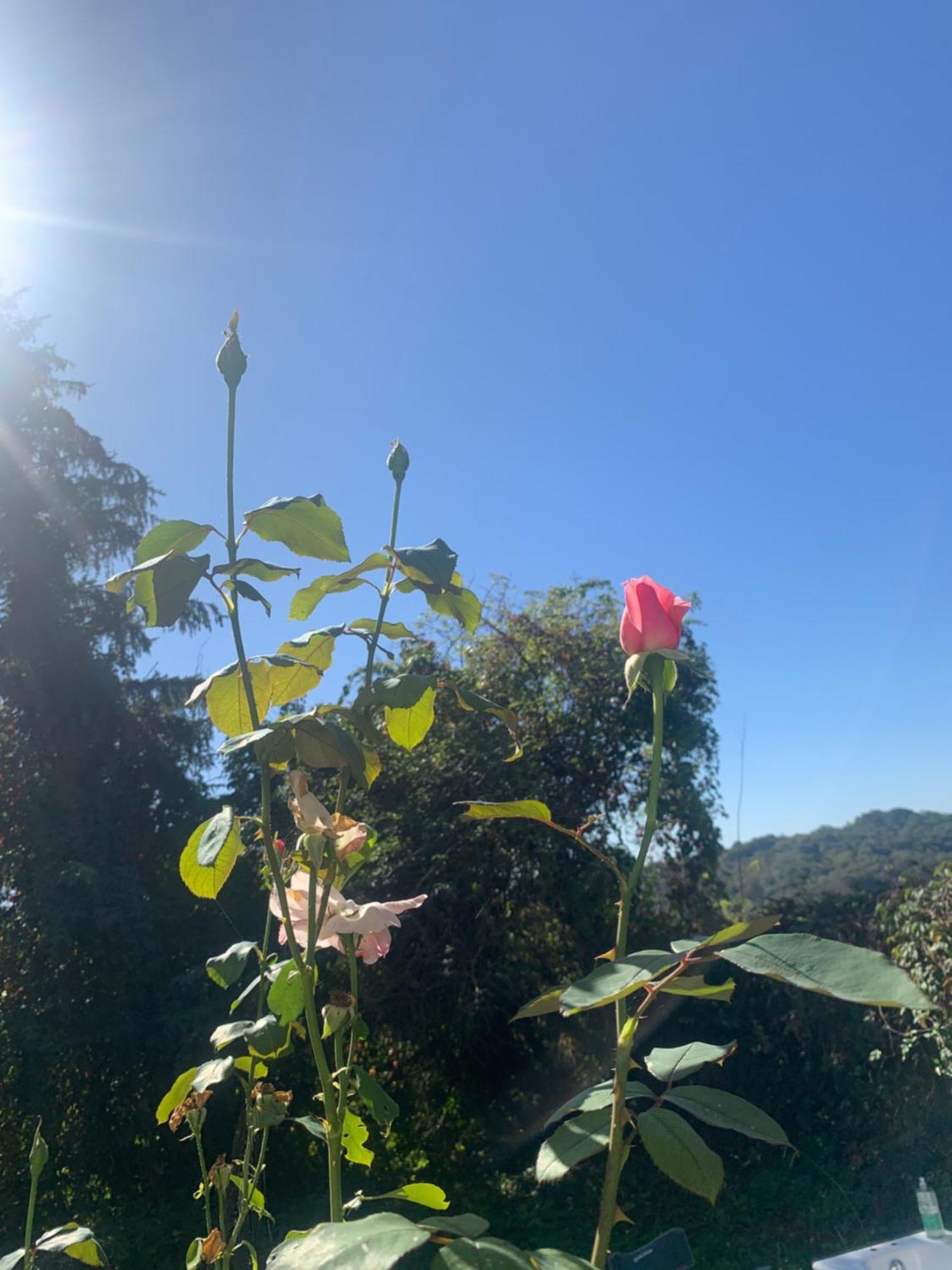 La Poesie Bed & Breakfast Lagor Dış mekan fotoğraf