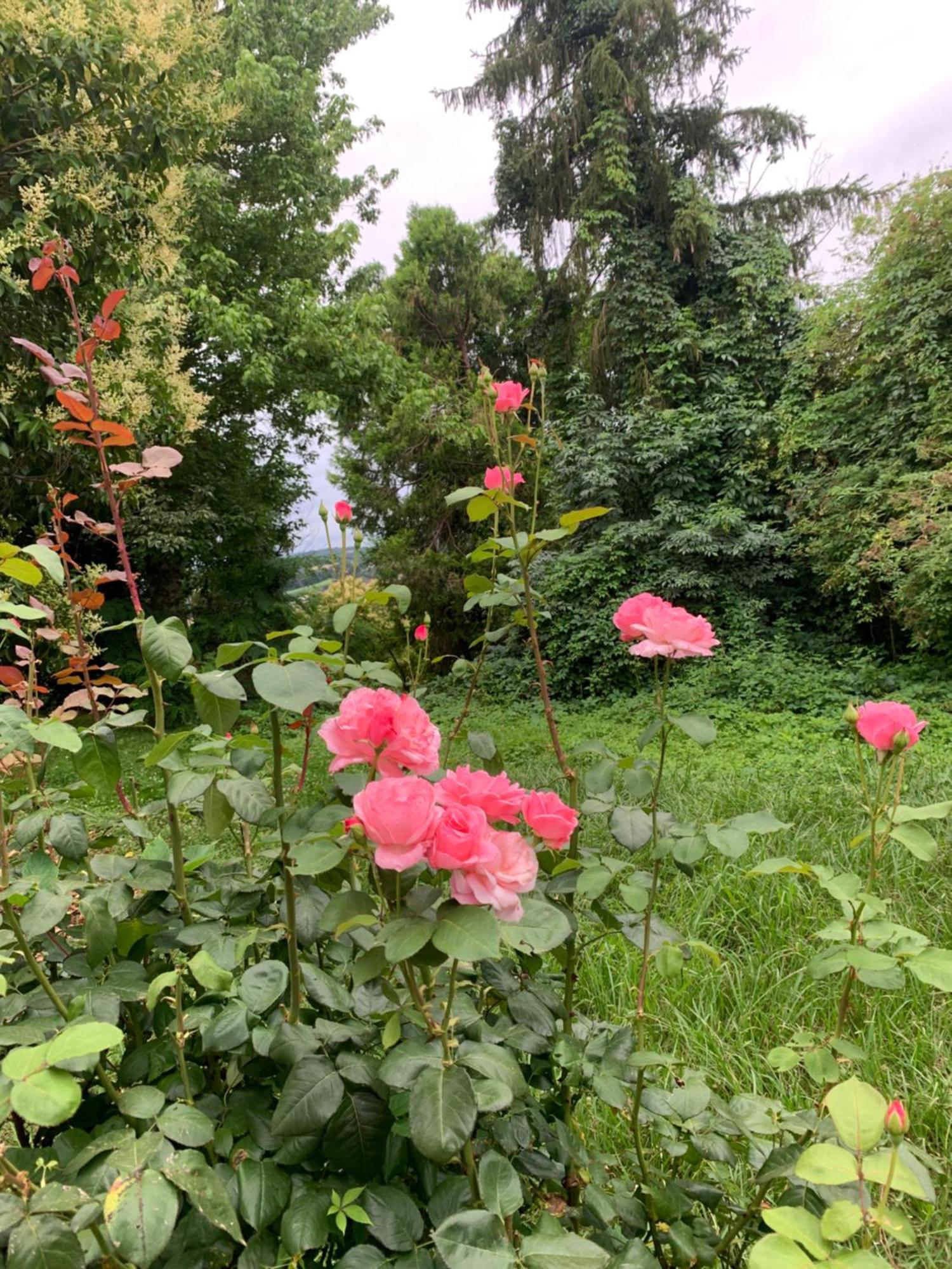 La Poesie Bed & Breakfast Lagor Dış mekan fotoğraf