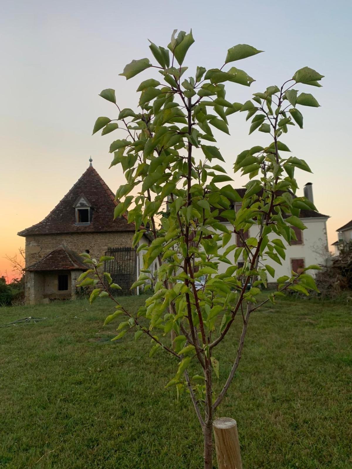 La Poesie Bed & Breakfast Lagor Dış mekan fotoğraf